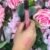abricot peach pink